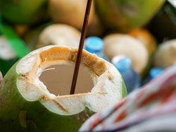Habis Vaksin Minum Air Kelapa, Bermanfaat atau Malah Menetralkan Efek?