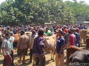 Pasar Hewan Pekalongan Penuh Sesak dan Banyak yang Tak Bermasker!