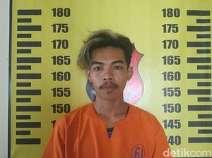 Pria Beristri di Banyuwangi Terciduk Setubuhi Remaja Putri dalam Kebun Kopi