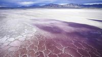 Nestapa Keringnya Danau Great Salt di Amerika