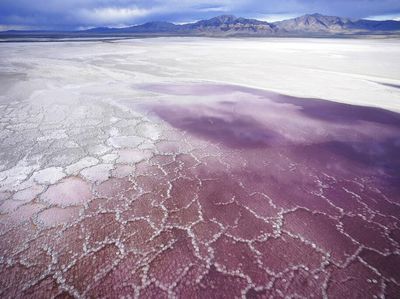 Nestapa Keringnya Danau Great Salt di Amerika