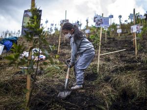 Tak Cuma RI, 5 Negara Ini Juga Pontang-panting Diamuk Corona