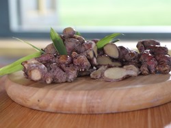 Manfaat Jahe Merah, Immunomodulator yang Kuatkan Daya Tahan Tubuh