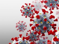 Corona Indonesia Bakal Melandai, Ini Syaratnya Kata Luhut