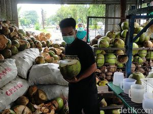 Degan Ijo Dipercaya Perkuat Imun Harganya Naik, Tapi Ada yang Borong 15 Biji Degan Ijo Dipercaya Perkuat Imun Harganya Naik, Tapi Ada yang Borong 15 Biji