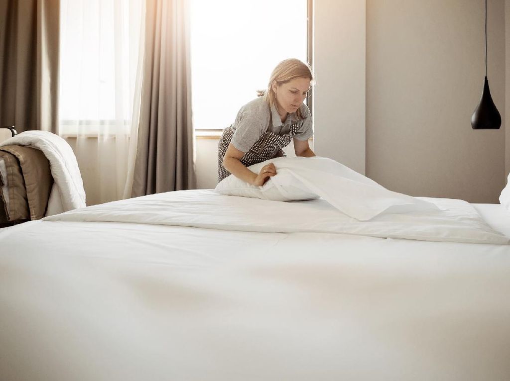 Jangan Rapikan Tempat Tidur Hotel, Waspada Ekor Panjang di Curug Nangka