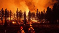 Merah Membara, Api Lumat Hutan di California