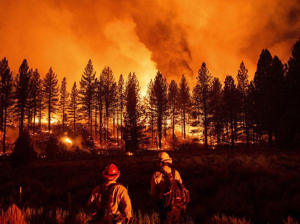 Merah Membara, Api Lumat Hutan di California