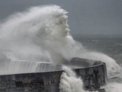 Foto Dewa Neptunus-Uni Emirat Arab Tolak Penerbangan dari Indonesia