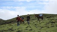 Foto Raja Bhutan Naik-Turun Gunung, Susuri Perbatasan Kampanye Prokes