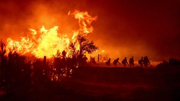 Kobaran Api yang Lalap Hutan di California Makin Membara