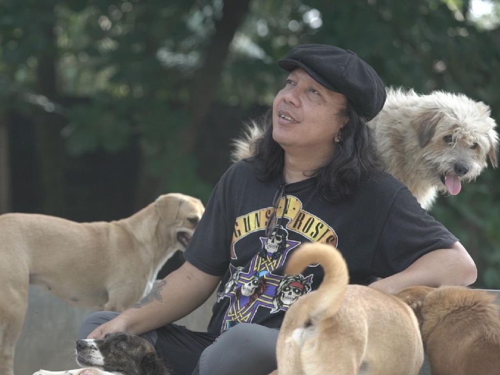 Ada Sayembara Menemukan Pencuri Anjing di Medan, Hadiahnya Puluhan Juta