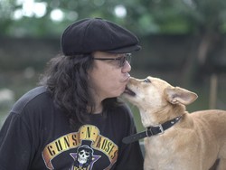 Besut Program AD19, Doni Tolong Anabul Terdampak COVID-19