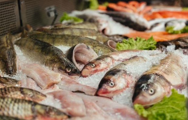 Ikan Segar | Pict : freepik.com/drobotdean