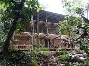 Kampung Pepohonan 99 Hidden Gem di Depok buat Rileks Sejenak Kampung Pepohonan 99 Hidden Gem di Depok buat Rileks Sejenak
