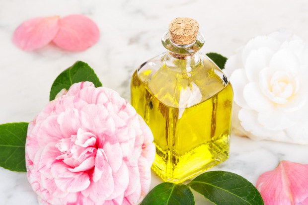 Menggunakan skincare yang mengandung minyak bunga camelia