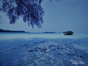 Ini Pulau Harapan, Pesonanya Bak Surga Bawah Laut yang Tersembunyi Ini Pulau Harapan, Pesonanya Bak Surga Bawah Laut yang Tersembunyi