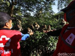 Ada PPKM Relawan Beri Makan Kera di Taman Wisata Grojogan Sewu
