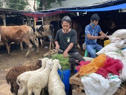 H-10 Idul Adha, Begini Suasana di Pasar Kambing Tanah Abang
