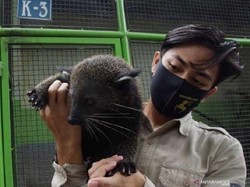 Akibat PPKM, Taman Wisata Umbul Buka Donasi untuk Pakan Satwa