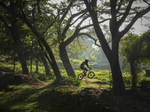 Potret Warga Berolahraga di Tengah Pandemi