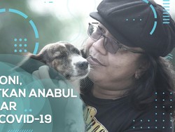 Sosok Doni Penolong Anabul Terlantar di Kala Pandemi COVID-19