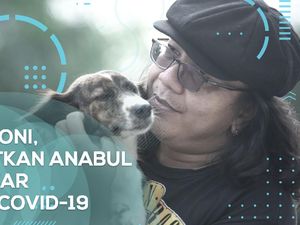 Sosok Doni Penolong Anabul Terlantar di Kala Pandemi COVID-19 Sosok Doni Penolong Anabul Terlantar di Kala Pandemi COVID-19