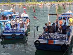 Tiga Pelabuhan Perikanan Tunjukkan Tren Positif di Masa Pandemi