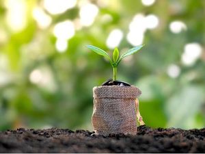 Pelajar Sekolah Cocok Investasi Berbasis ESG yang Ramah Lingkungan