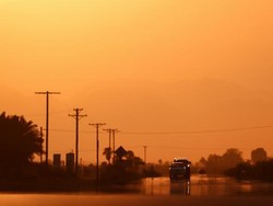 Jutaan Orang Berjuang Hadapi Gelombang Panas Ekstrem di AS-Kanada
