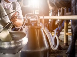 Buruan Daftar! Frisian Flag Buka Banyak Lowongan Kerja, Gaji Kompetitif