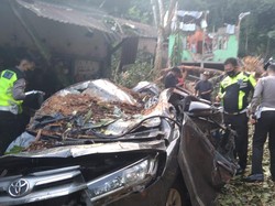 Pohon Tumbang saat Hujan di Bengkulu Timpa Mobil, 2 Orang Tewas
