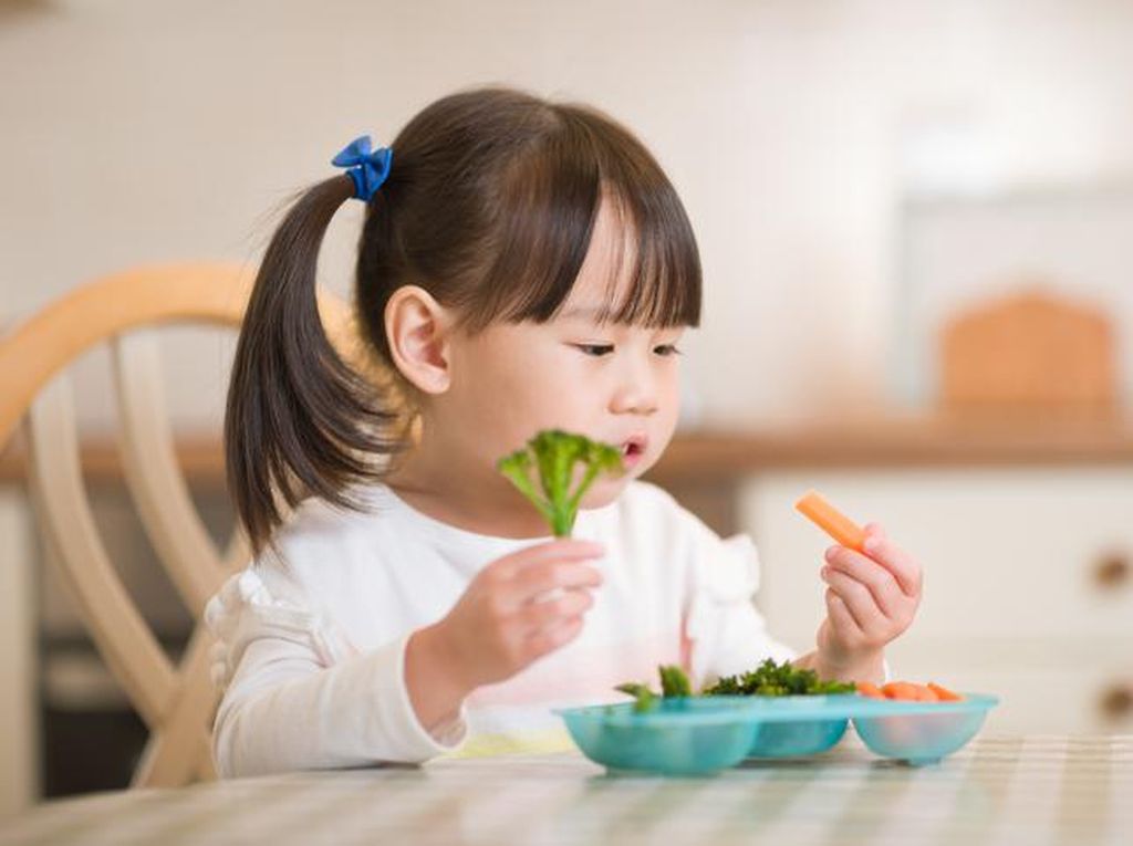 5 Nutisi Ini Bikin Otak Anak Makin Cerdas, Semua Ada di Makanan Lho 5 Nutisi Ini Bikin Otak Anak Makin Cerdas, Semua Ada di Makanan Lho
