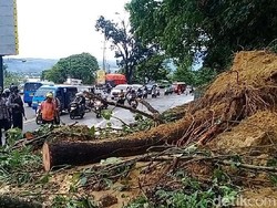 Sejumlah Rumah di Ambon Hancur Akibat Longsor, Ada Tertimpa Jembatan Ambruk