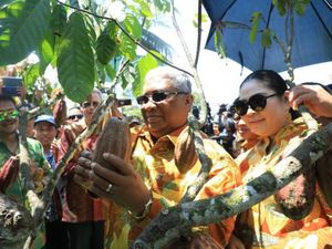 Istri Gubernur Sultra Agista Ariani Meninggal Dunia Istri Gubernur Sultra Agista Ariani Meninggal Dunia