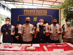 Polisi Gagalkan Penyelundupan Benih Lobster Senilai Rp 6 M di Muara Angke