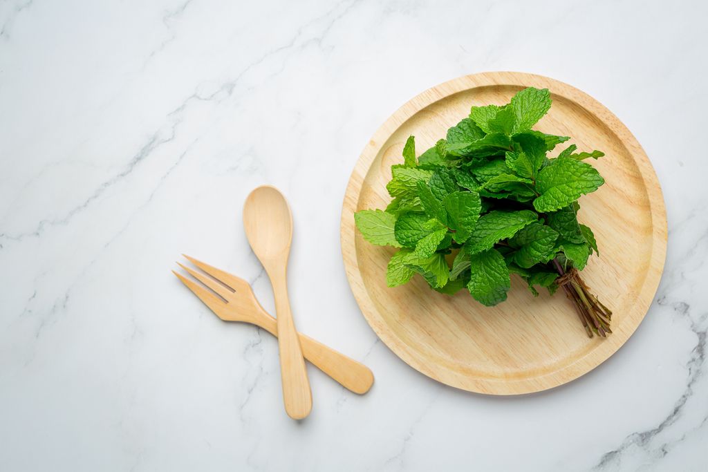 daun mint efektif atasi anosmia