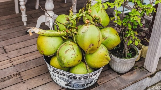 Kelapa hijau/healthline.com/Anne Danahy