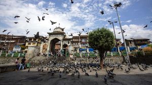 Memberi Makan Ratusan Merpati di Masjid Muslim Kashmir