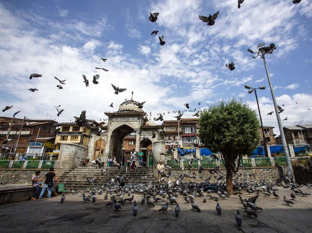 Memberi Makan Ratusan Merpati di Masjid Muslim Kashmir Memberi Makan Ratusan Merpati di Masjid Muslim Kashmir