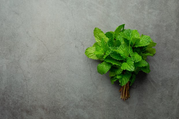 mint leaves (sumber : freepik)