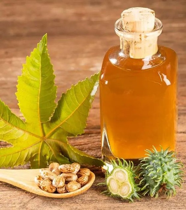 minyak jarak efektif atasi anosmia