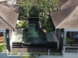 Kisah Gerombolan Monyet Kudeta Vila-vila Cantik di Bali