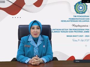 Penggerak PKK di Daerah Diminta Sinergi dengan Pemda soal Program Kerja