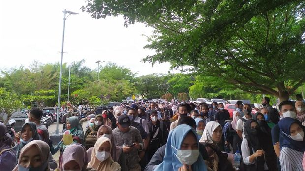 Antrean Pendaftaran CPNS di Pidie Jaya Aceh Mengular dan Berkerumun (Foto: Istimewa)