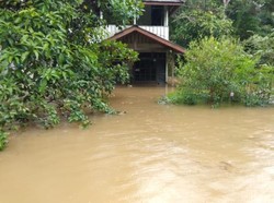 Kalbar Dilanda Banjir, 4.800 Warga Terdampak-Puluhan Fasum Rusak
