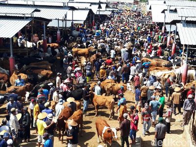 Jelang Idul Adha, Pasar Sapi di Boyolali Ramai
