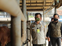 Mentan Dorong Panitia Kurban Perhatikan Prokes & Kesehatan Hewan