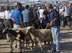 Tak Ada Perayaan Idul Adha Bagi Warga Palestina di Gaza