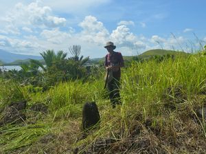 Wow! Ditemukan Situs Megalitik Abar Tempat Pemujaan Leluhur